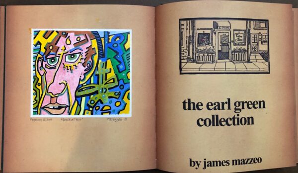 A book with an image of a person and the words " the earl of carnarvon collection ".