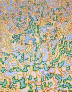 A painting of many different colored shapes and lines